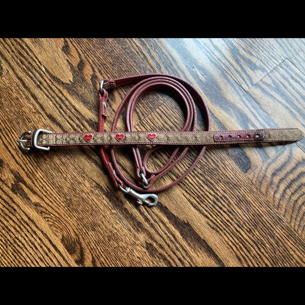 Signature Coach dog collar and leash